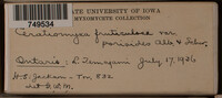 Image Associated With the Occurence